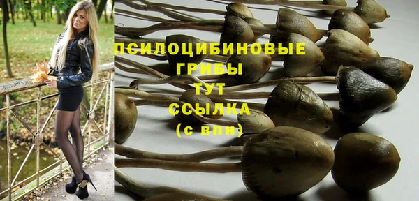 скорость Козловка