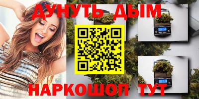 spice Дубна