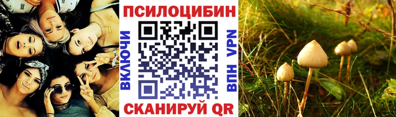 Псилоцибиновые грибы Psilocybe Крымск
