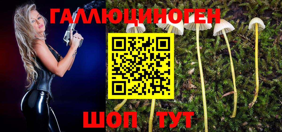 Крымск  Псилоцибиновые грибы Cubensis  Псилоцибиновые грибы мицелий  Вход с VPN 